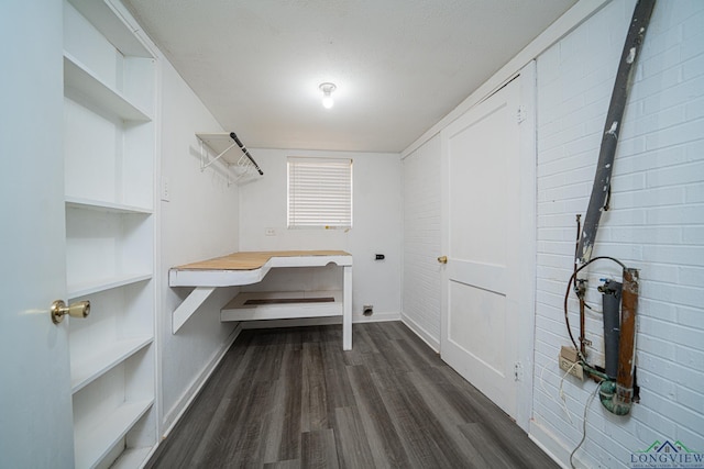 walk in closet featuring dark hardwood / wood-style floors