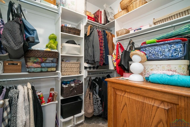 spacious closet featuring carpet flooring