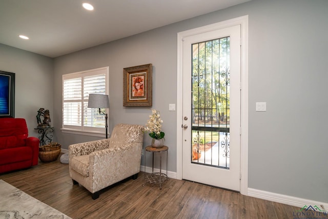 entryway with hardwood / wood-style flooring and plenty of natural light