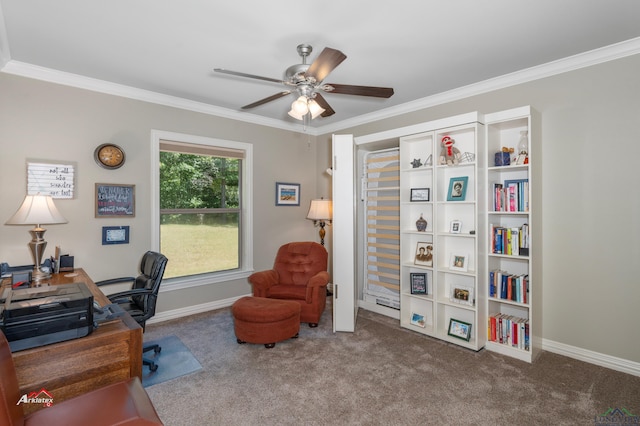 carpeted office space with ceiling fan and ornamental molding