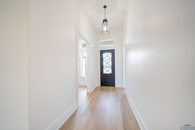 entrance foyer featuring light wood-type flooring