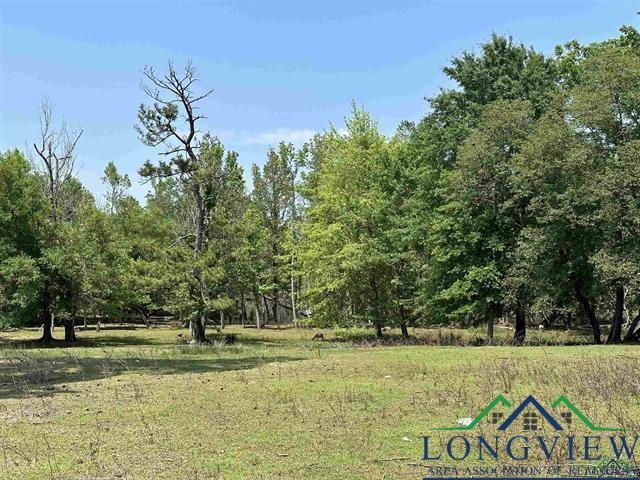 4.59ACTBD Kilgore Dr, Henderson, TX 75652