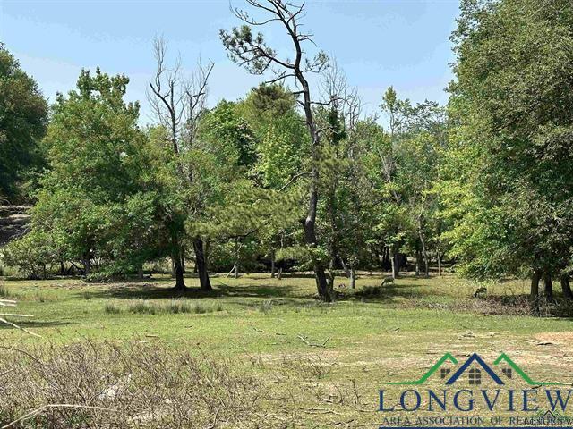 4.59ACTBD Kilgore Dr, Henderson, TX 75652