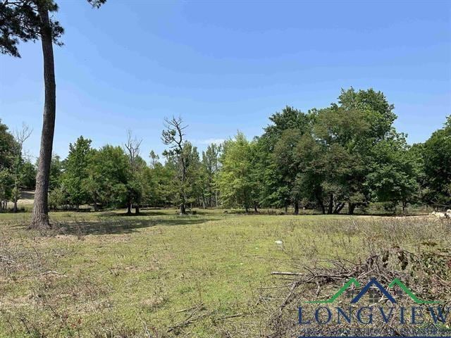 4.59ACTBD Kilgore Dr, Henderson, TX 75652