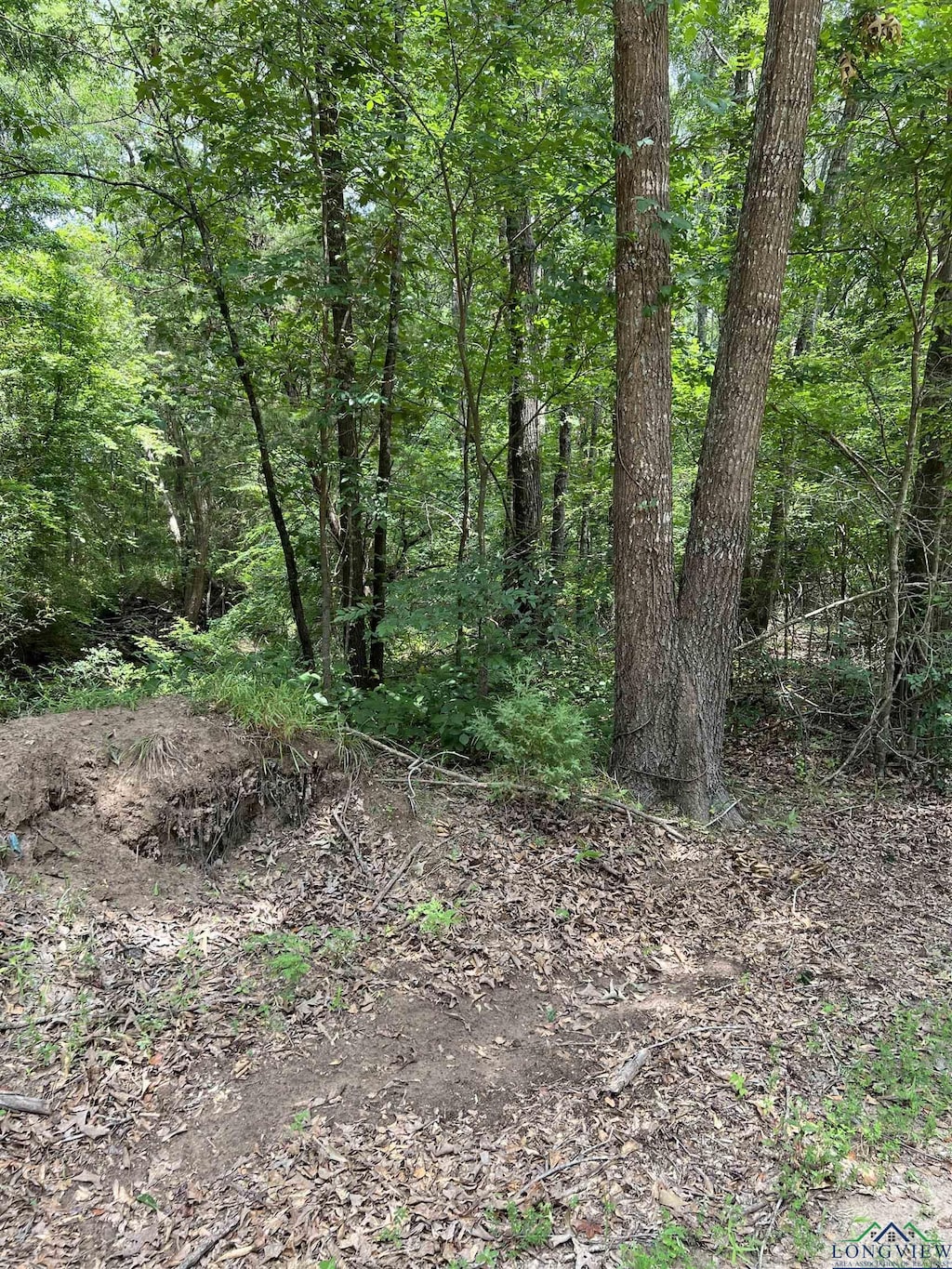 TBD Cr 4130, Mount Vernon, TX 75457 - photo 2