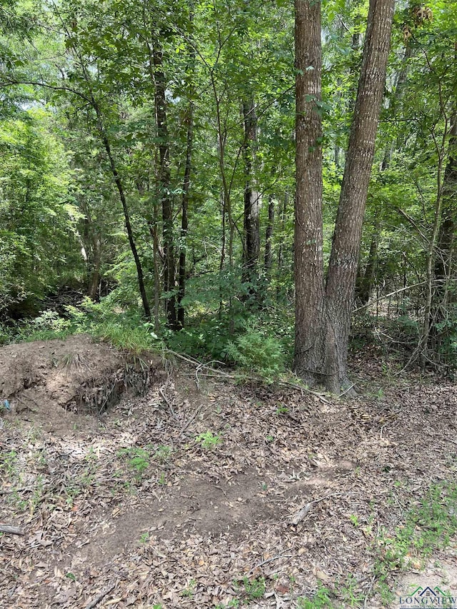 TBD Cr 4130, Mount Vernon, TX 75457 - photo 2