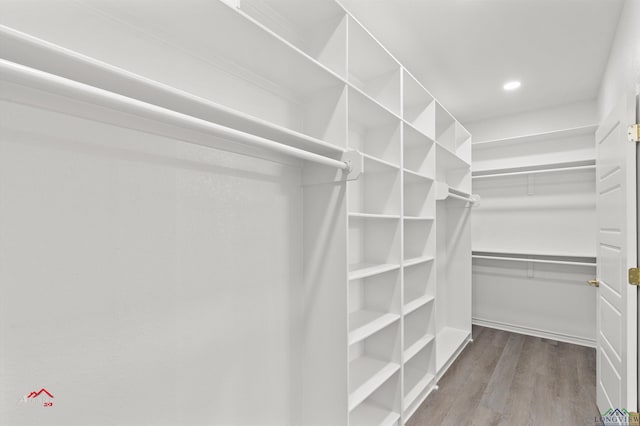 walk in closet with light hardwood / wood-style floors