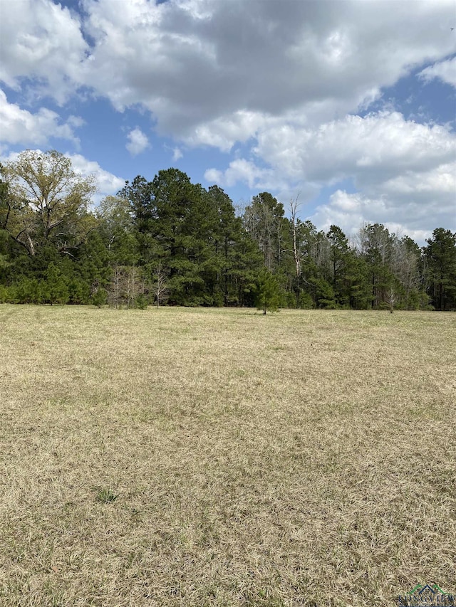 TBD Sycamore Rd, E/Side Big Sandy, TX 75755