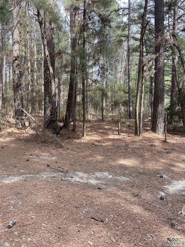 TBD Sycamore Rd, E/Side Big Sandy, TX 75755