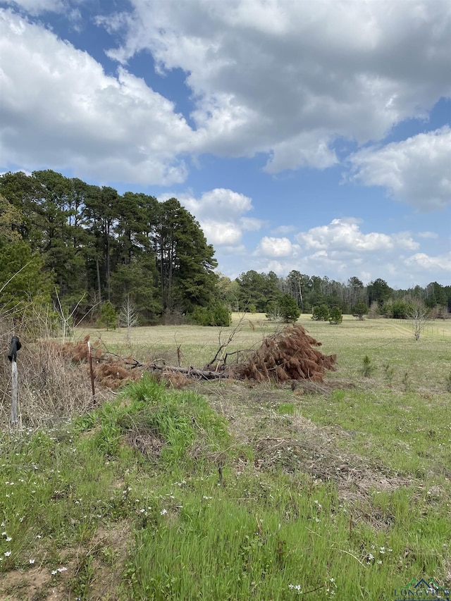 TBD Sycamore Rd, E/Side Big Sandy, TX 75755