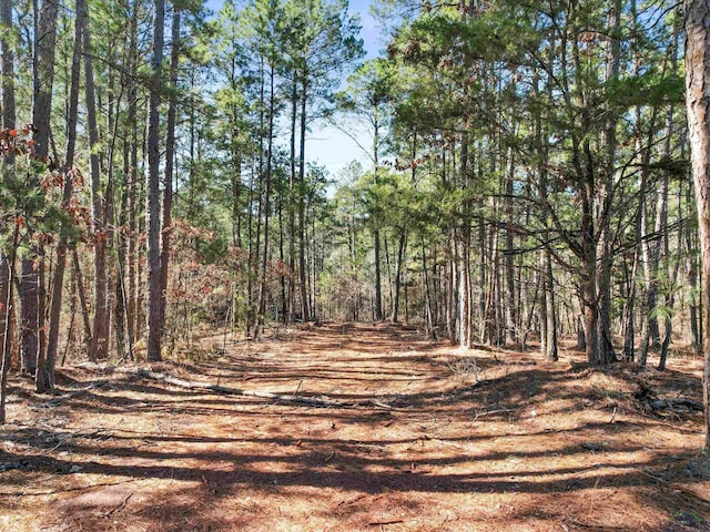 view of road featuring a forest view