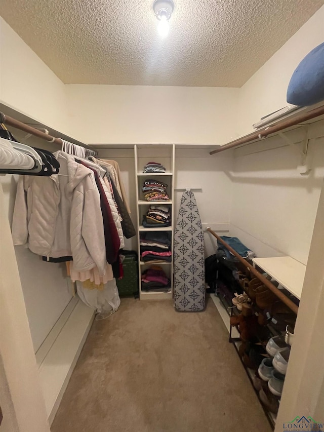 spacious closet with light colored carpet