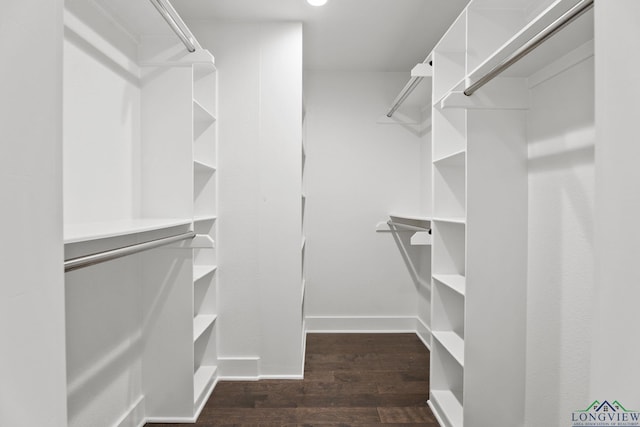 walk in closet featuring dark wood-type flooring