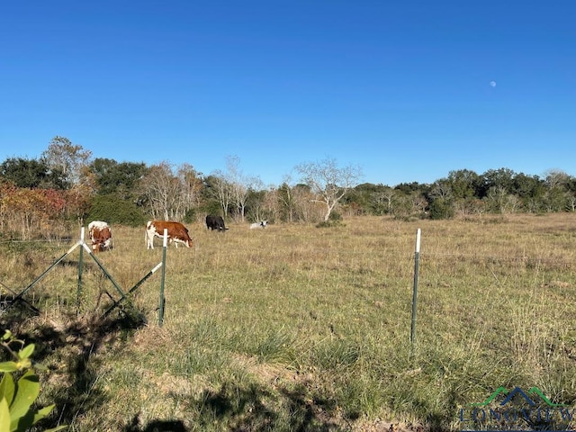 view of yard featuring a rural view