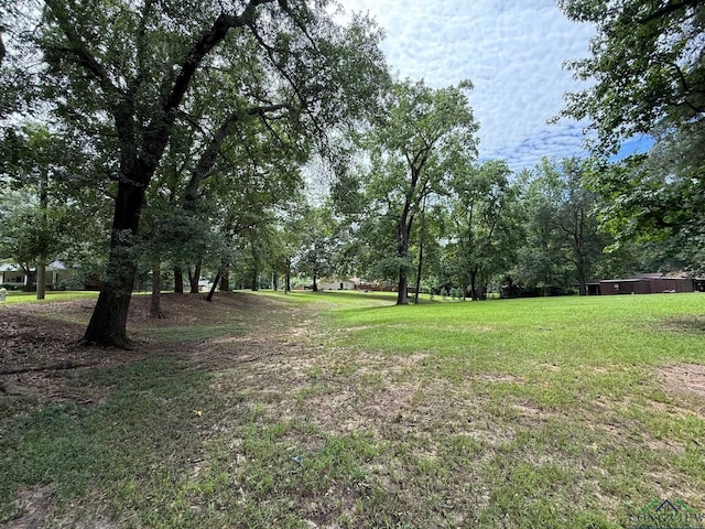 TBD Pine St, Gilmer, TX 75644 - photo 11