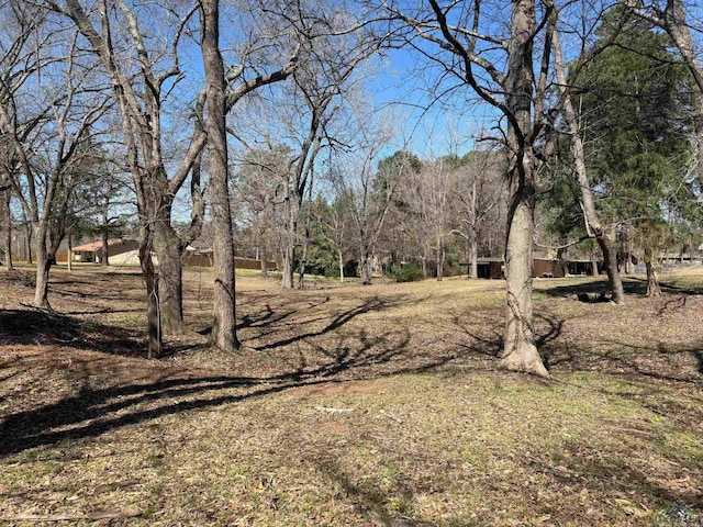 Listing photo 3 for TBD Pine St, Gilmer TX 75644