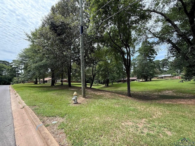 TBD Pine St, Gilmer, TX 75644 - photo 3