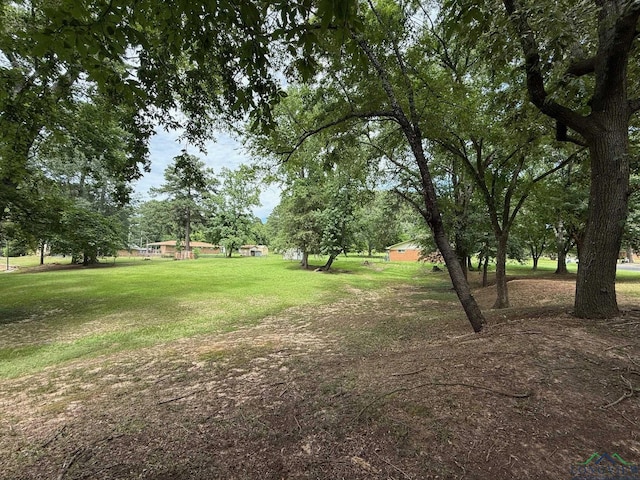 TBD Pine St, Gilmer, TX 75644 - photo 12