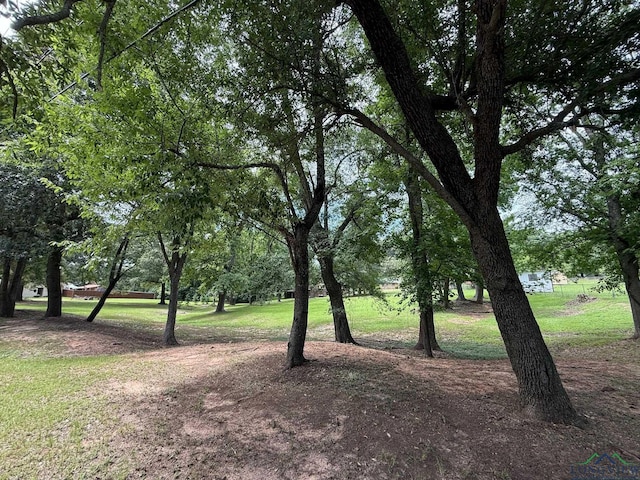 TBD Pine St, Gilmer, TX 75644 - photo 4