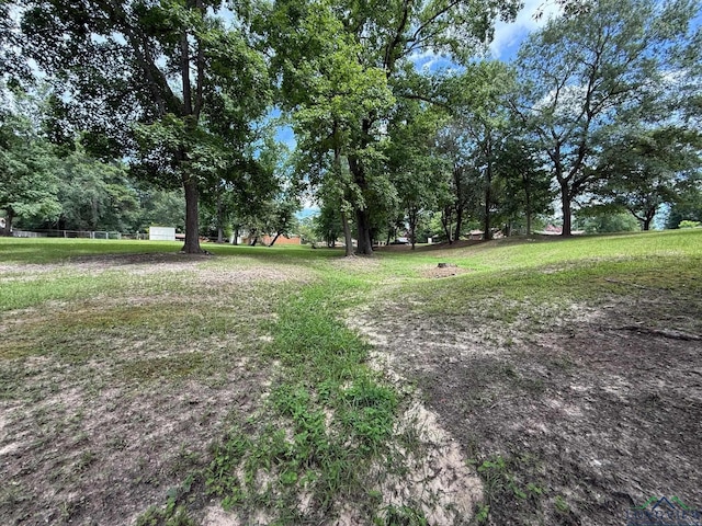 TBD Pine St, Gilmer, TX 75644 - photo 6