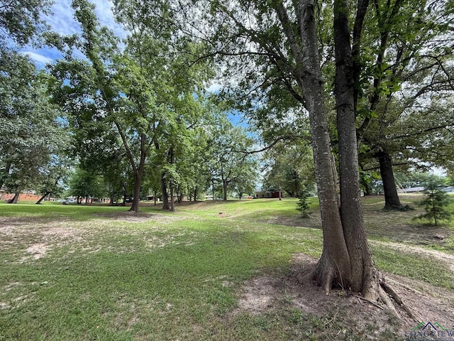 TBD Pine St, Gilmer, TX 75644 - photo 7
