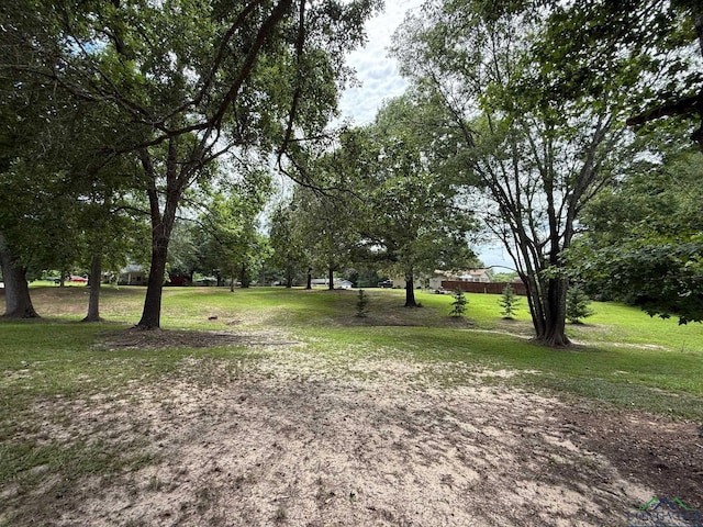TBD Pine St, Gilmer, TX 75644 - photo 8