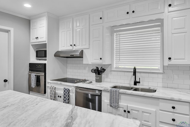 kitchen featuring under cabinet range hood, decorative backsplash, stainless steel appliances, and a sink