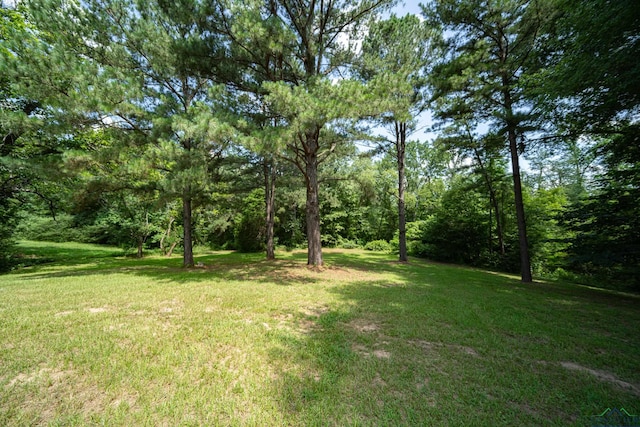 view of yard with a wooded view