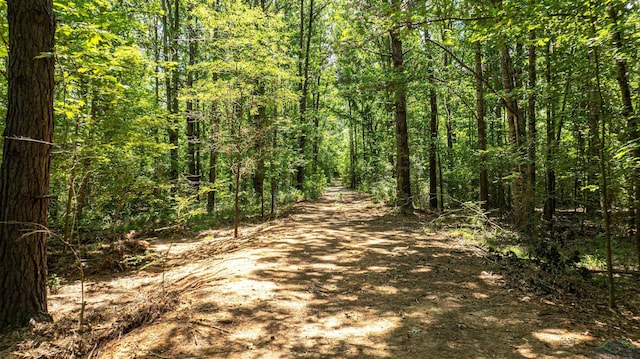 view of landscape featuring a view of trees