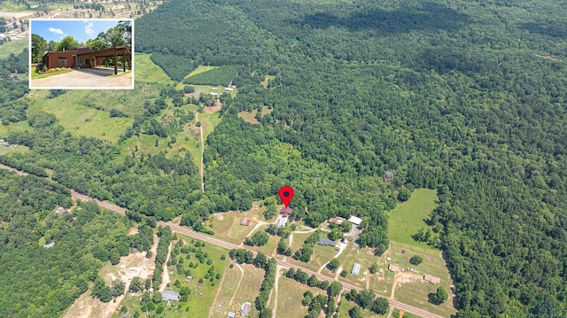 bird's eye view with a forest view