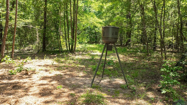 view of yard with a view of trees