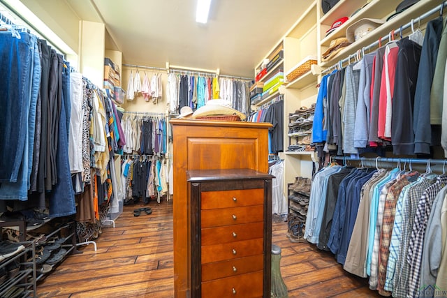 spacious closet with wood-type flooring