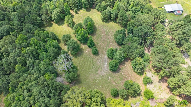 aerial view with a wooded view