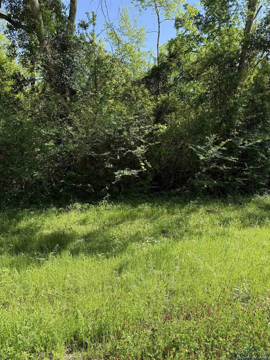 TBDLOT7 S Fm 839, Henderson, TX 75652 - photo 2