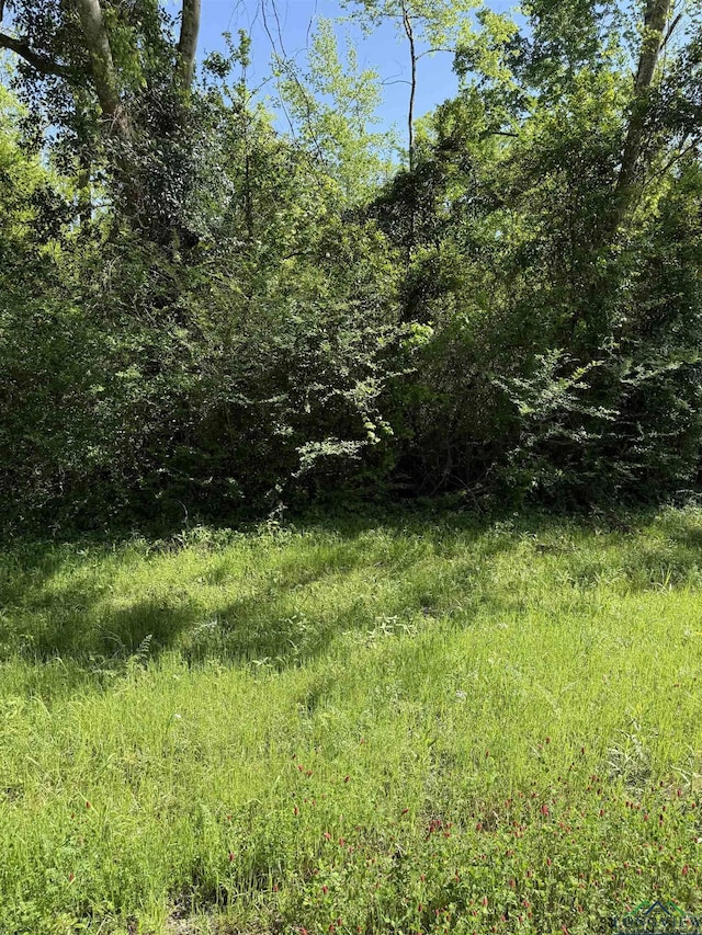 TBDLOT7 S Fm 839, Henderson, TX 75652 - photo 2