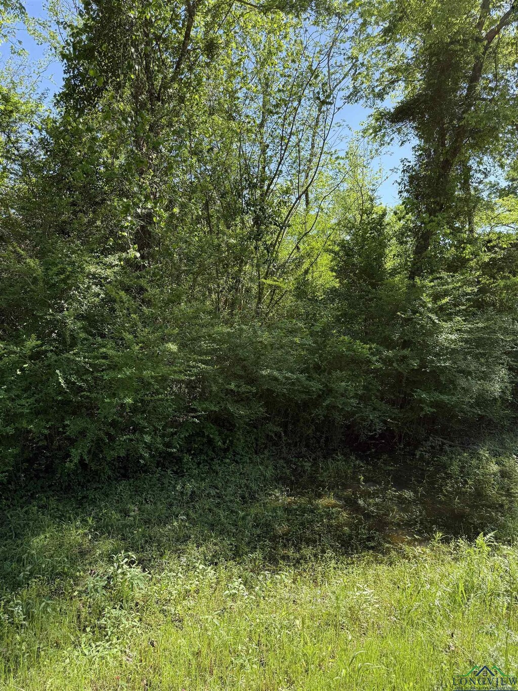 TBDLOT7 S Fm 839, Henderson, TX 75652 - photo 3
