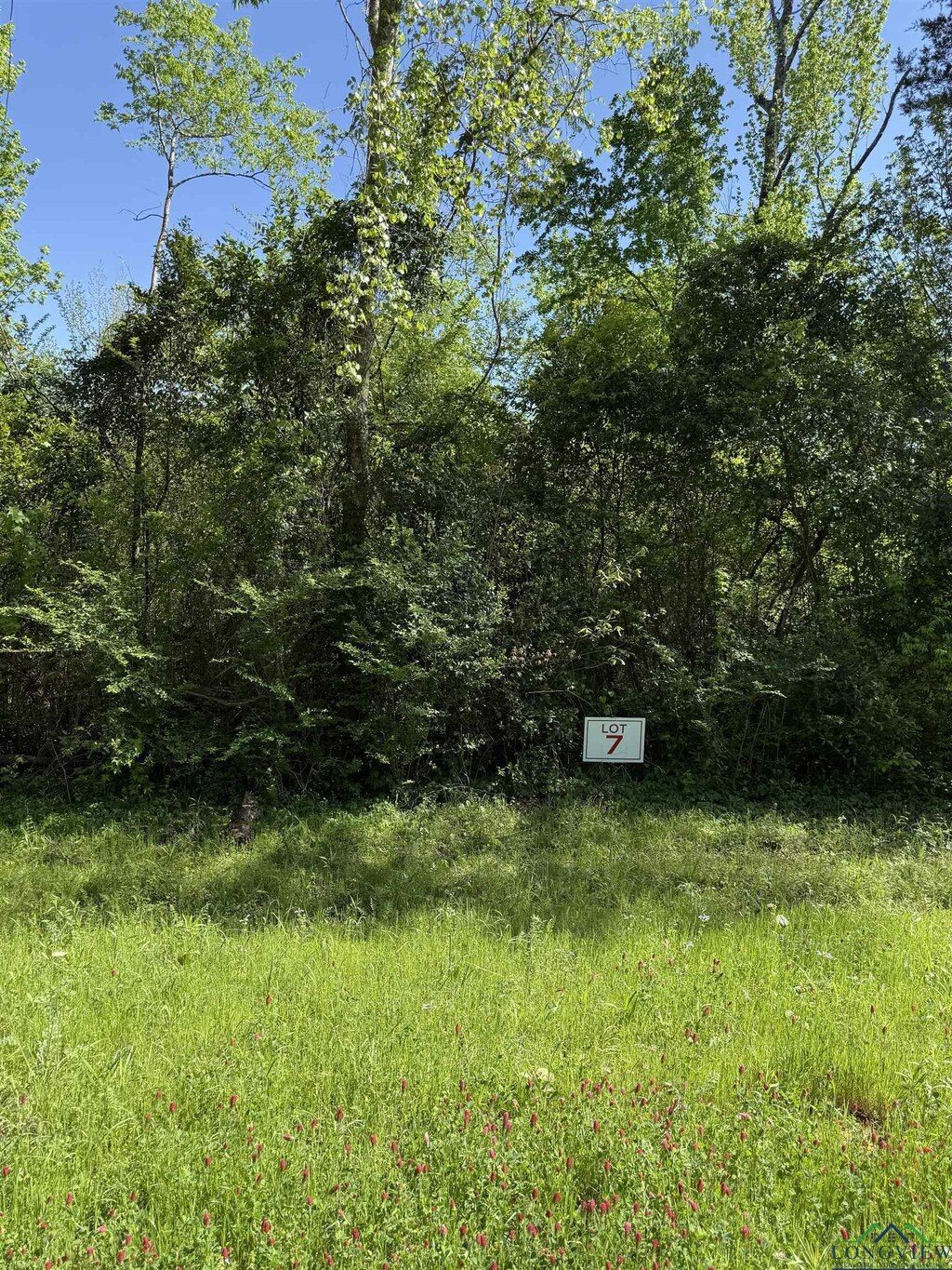 TBDLOT7 S Fm 839, Henderson, TX 75652 - photo 1