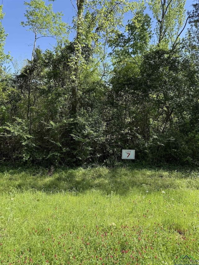 TBDLOT7 S Fm 839, Henderson, TX 75652 - photo 1