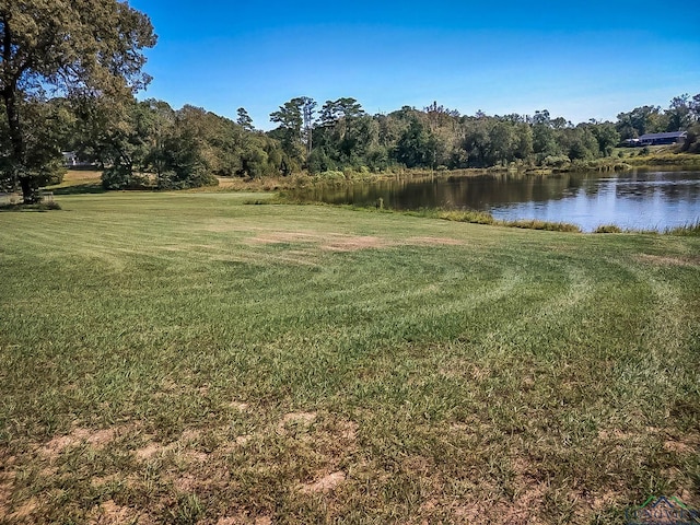 LOT66 Sage Rd, Diana, TX 75640 - photo 3