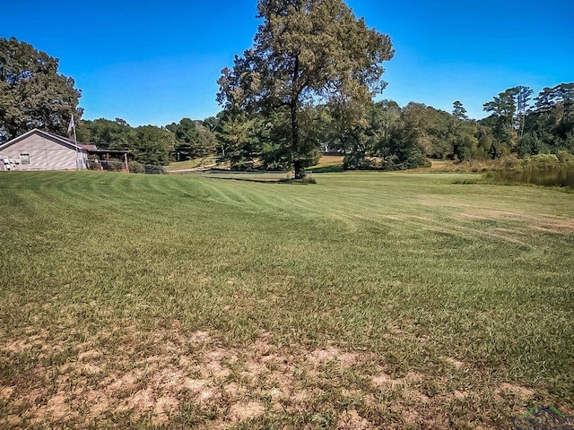 LOT66 Sage Rd, Diana, TX 75640 - photo 5