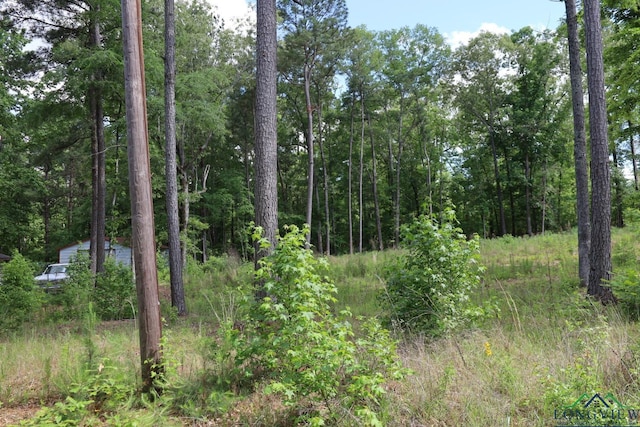 Tbd, Forestwood Gilmer, TX 75645 - photo 2