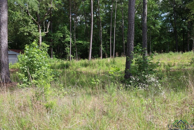 Tbd, Forestwood Gilmer, TX 75645 - photo 3