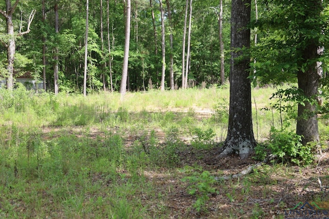 Tbd, Forestwood Gilmer, TX 75645 - photo 5