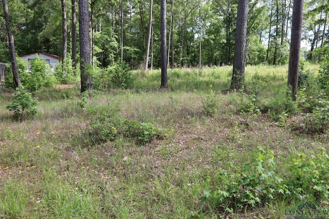 Tbd, Forestwood Gilmer, TX 75645 - photo 1