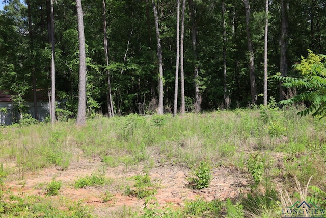 Tbd, Forestwood Gilmer, TX 75645 - photo 6