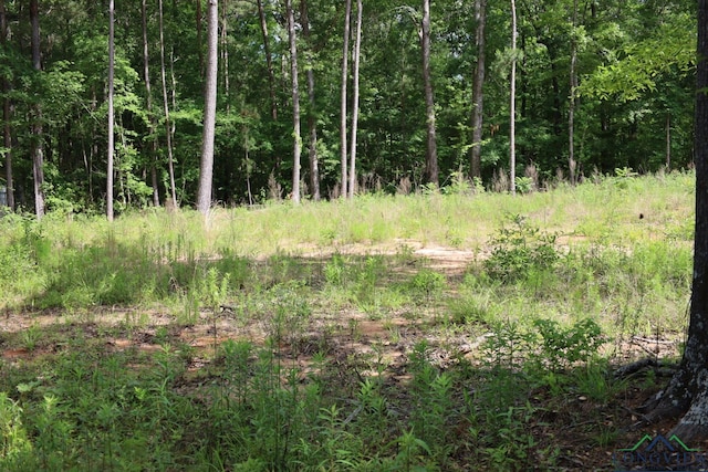 Tbd, Forestwood Gilmer, TX 75645 - photo 4