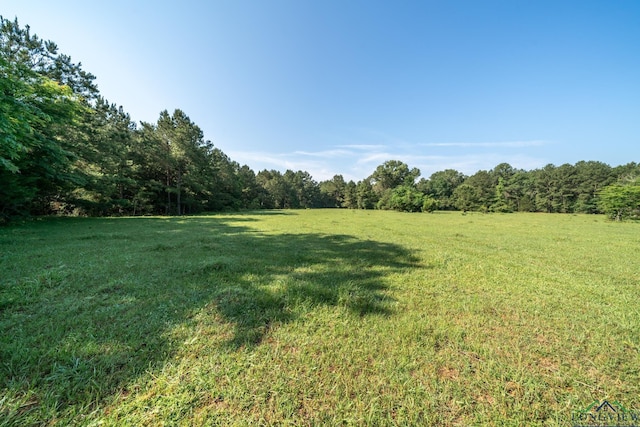 view of yard with a rural view