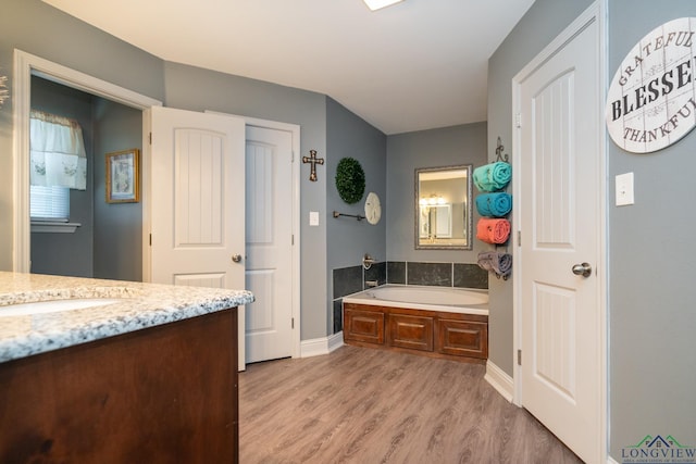 bathroom featuring a bath, vanity, and wood-type flooring