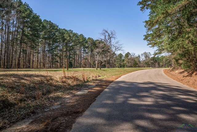 9458 Begonia Rd, Ore City, TX 75683 - photo 38