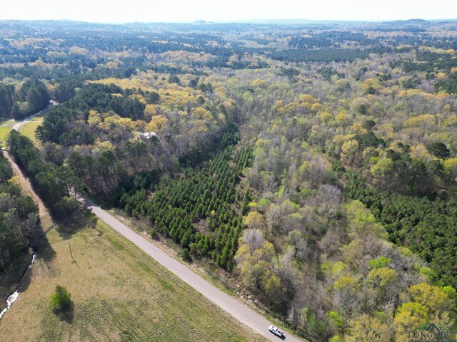 9458 Begonia Rd, Ore City, TX 75683 - photo 42